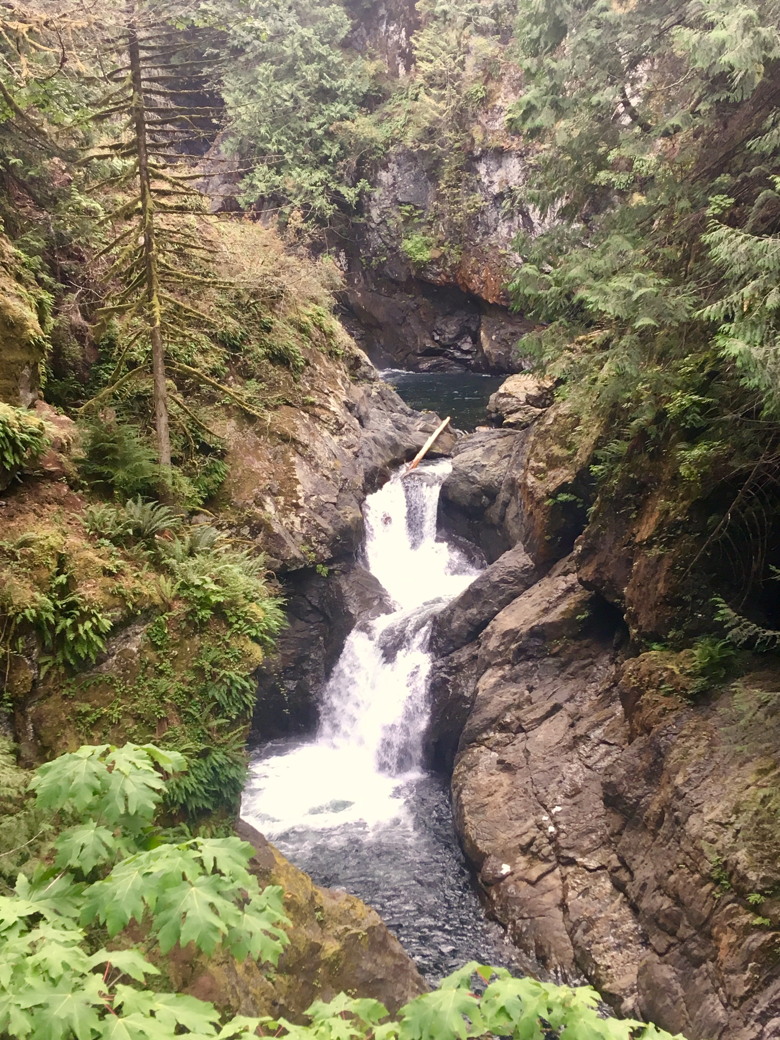 Twin Falls Hike